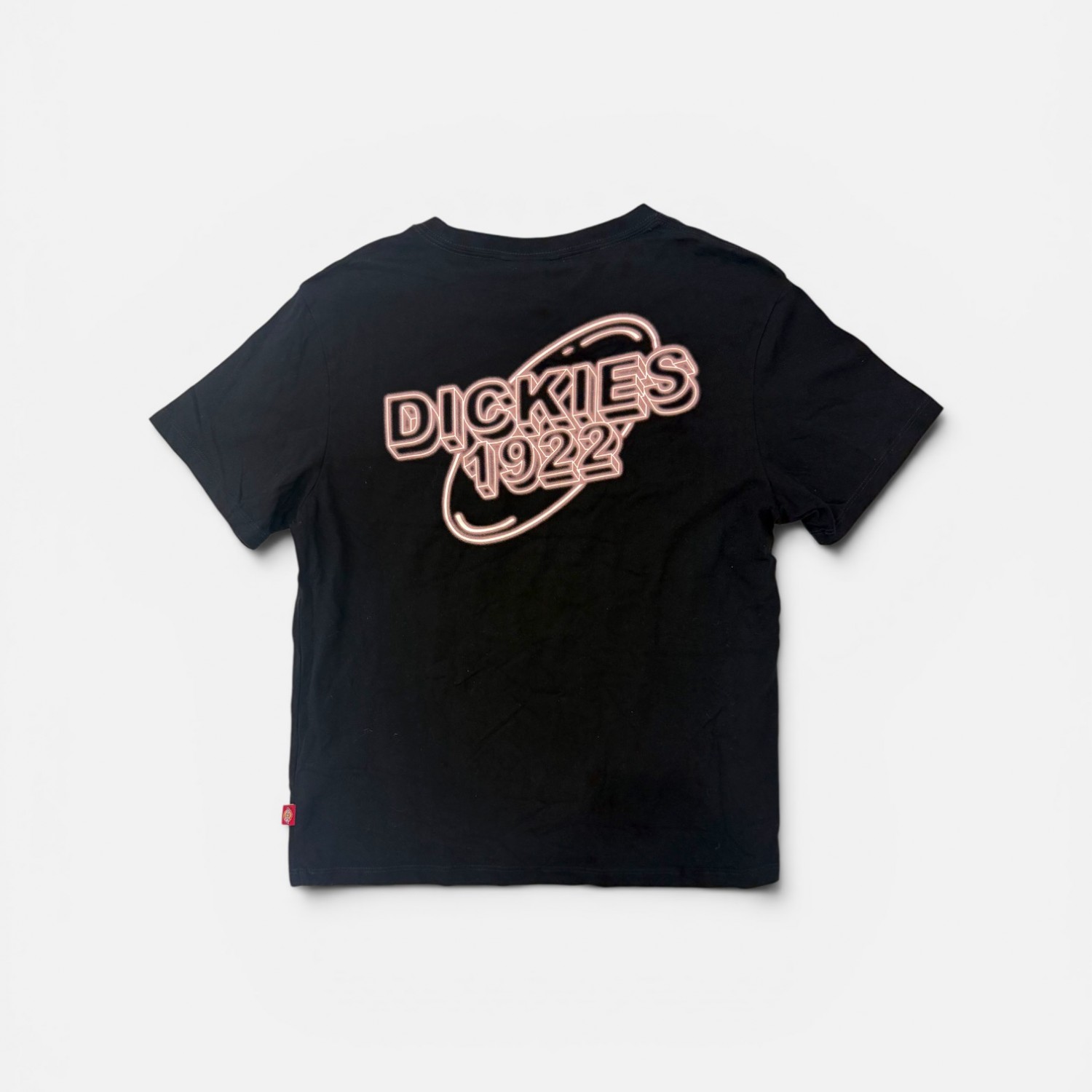 Dickies Logo Graphic T-Shirt