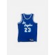 LOS ANGELES LAKERS JAMES 23 NIKE NBA JERSEY M