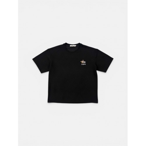 U.S. Polo Assn. Ανδρικό T-Shirt Μαύρο