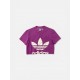 Adidas Originals Μωβ Crop T-Shirt S